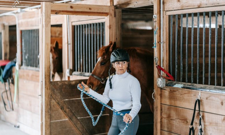 An adult woman holds a horse in a rustic wooden stable, emphasizing equestrian lifestyle.