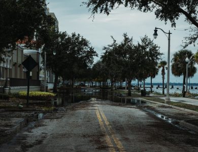 A flooded urban street with palm trees, buildings, and puddles, under a cloudy sky.
