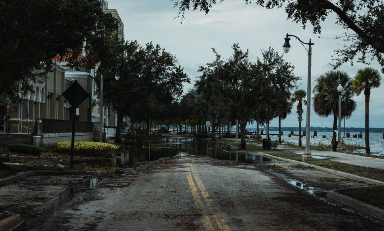 A flooded urban street with palm trees, buildings, and puddles, under a cloudy sky.