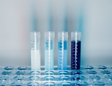Close-up of test tubes filled with colorful liquids in a laboratory setting.
