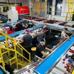 A busy factory with workers sorting red apples on conveyor belts indoors.