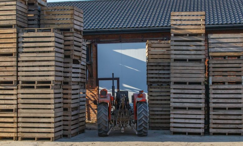Red tractor positioned among towering stacks of wooden pallets outside a warehouse.